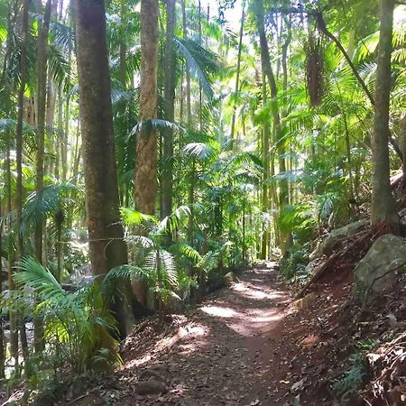 Entire Self-Contained Cabin On The Beautiful Mountain Bed & Breakfast Mount Tamborine Exterior photo