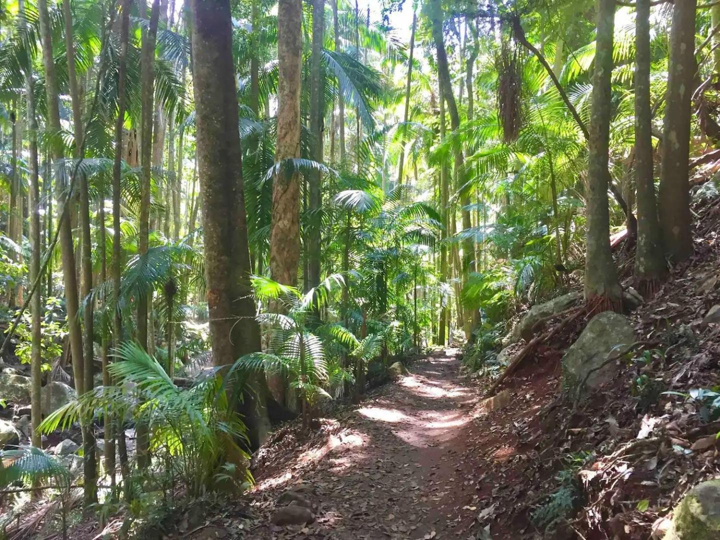 Entire Self-Contained Cabin On The Beautiful Mountain Bed & Breakfast Mount Tamborine Exterior photo